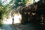 Сукка - палатка из пальмовых ветвей - увеличить
